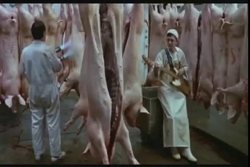 THE COMMITMENTS - Trailer ( 1991 )