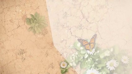 Best Survival Techniques