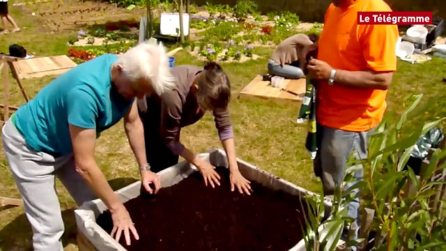 Brest. Incroyables comestibles : du lien social par les cultures