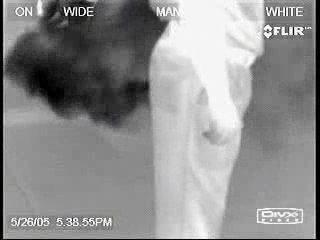 Un pet en infrarouge