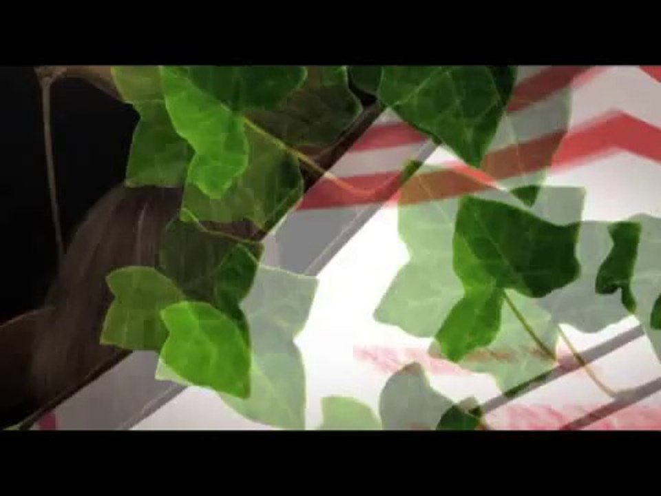 FOX's Running Wilde Trailer
