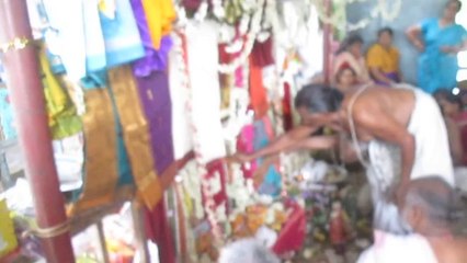 tirupapuliyur shri gopalasundara bagavatar neyveli  sri radha kalyanam 27 07 14