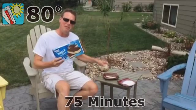 Walmart Ice Cream Sandwich Don’t Melt