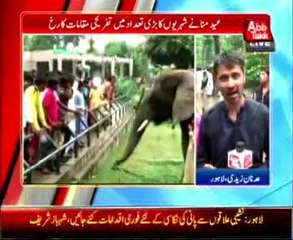 Eid Mubarak: People celebrate in Park