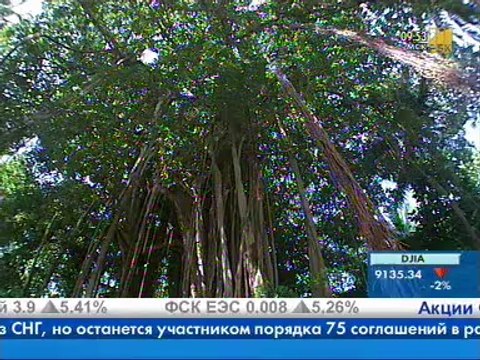 Мальдивы - отдых и туризм. Часть 4