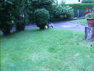 Jaudy n'aime pas son nouveau ballon