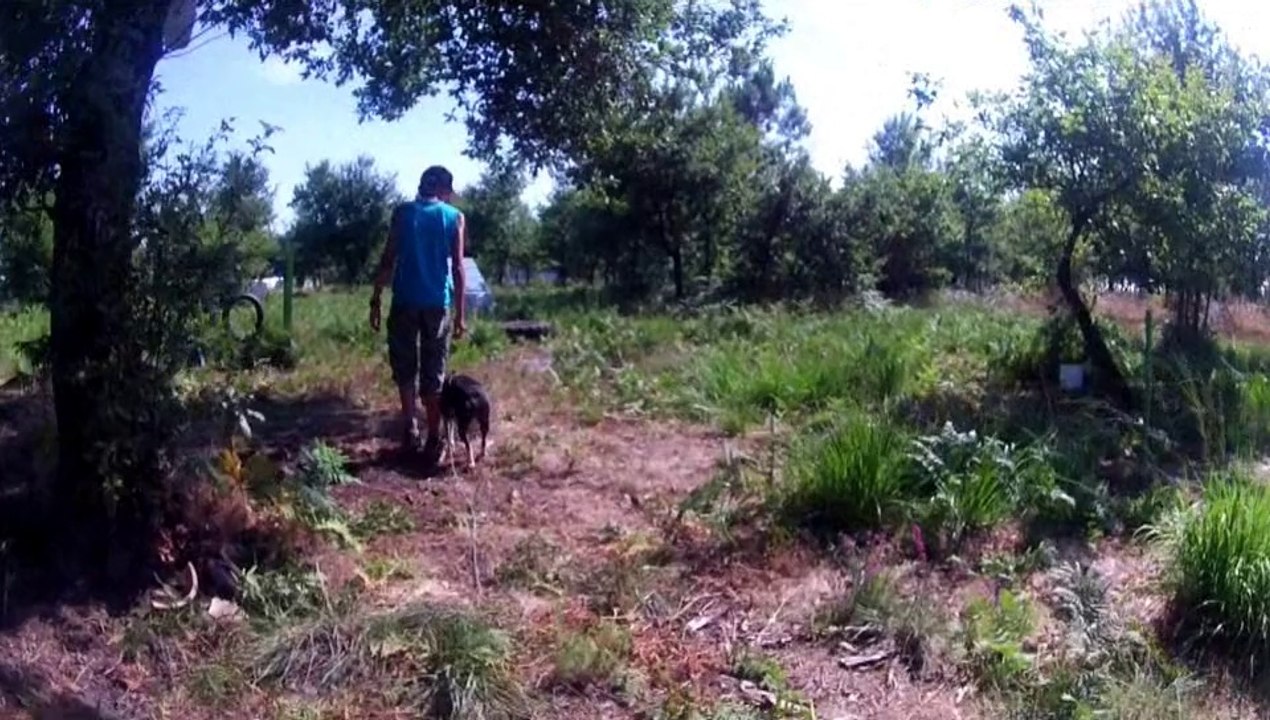 Faust et son petit maître