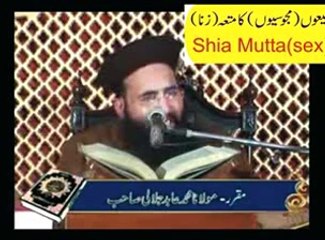 shia majusi mutta VS Brealvi alim