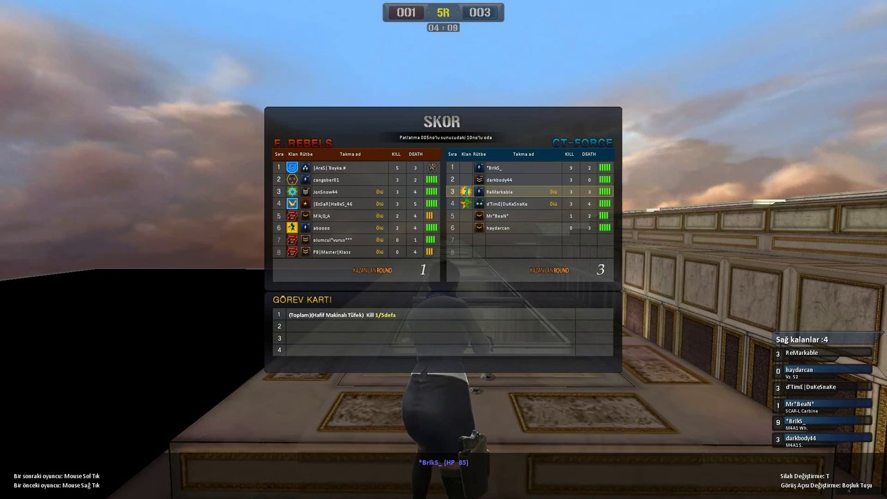 *BrIkS_ Wall Hack