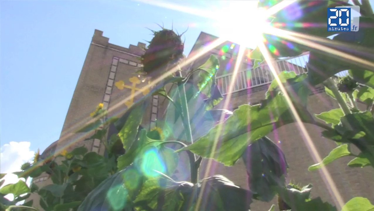 Chrétiens en Irak: «C'est pas impossible qu'ils vivent avec les musulmans»