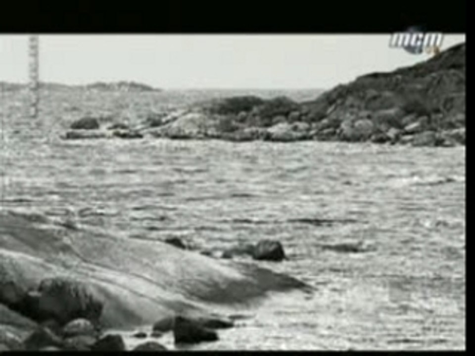 In Flames - Pinball Map