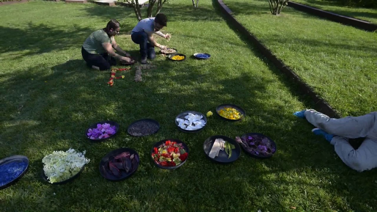 C'est la Fête des jardins !