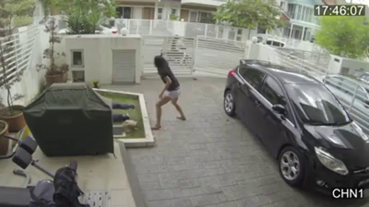 THIEF GET BEAT UP BY GIRL haha