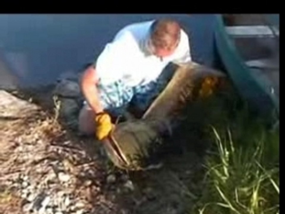 Video carpiste.fr v0.1