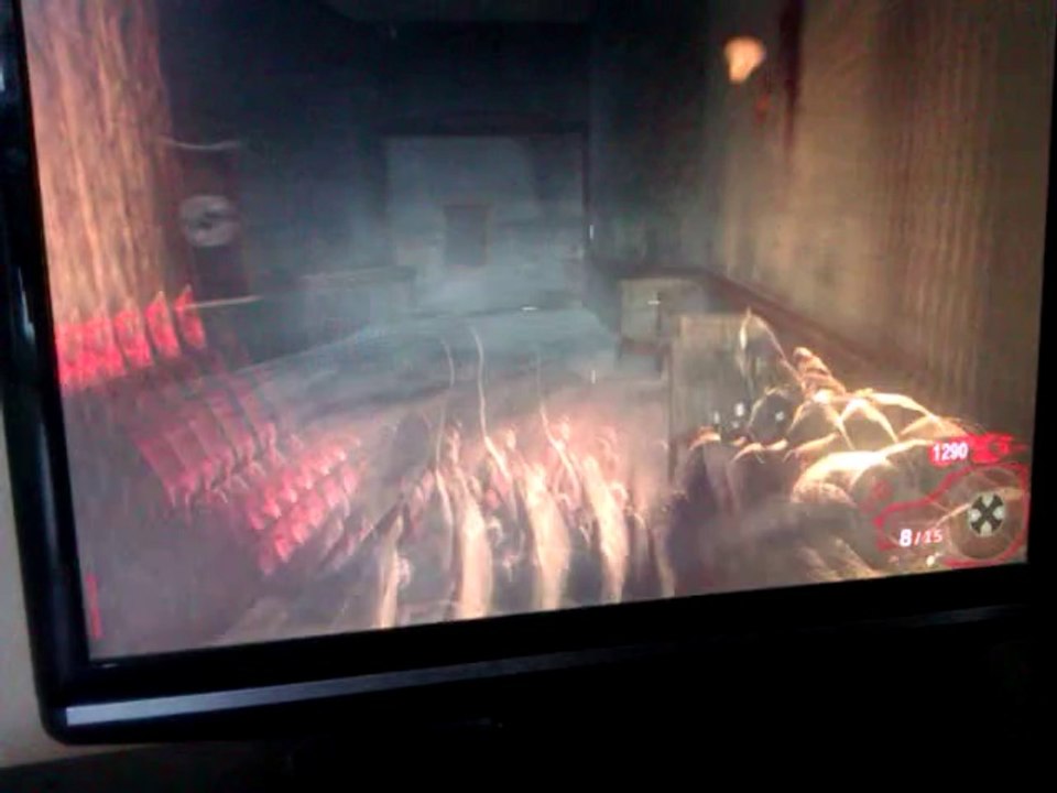 Call of Duty black ops mode zombie