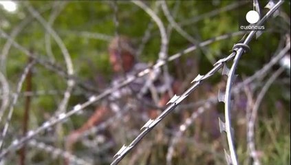 L'Ossétie du sud s'éloigne toujours plus de la Géorgie