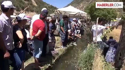 Aydın'da boğa güreşi heyecanı