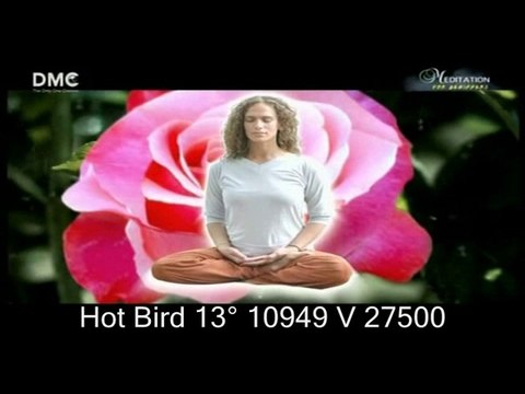 #DMC_TV Hot Bird 13° 10949 V 27500