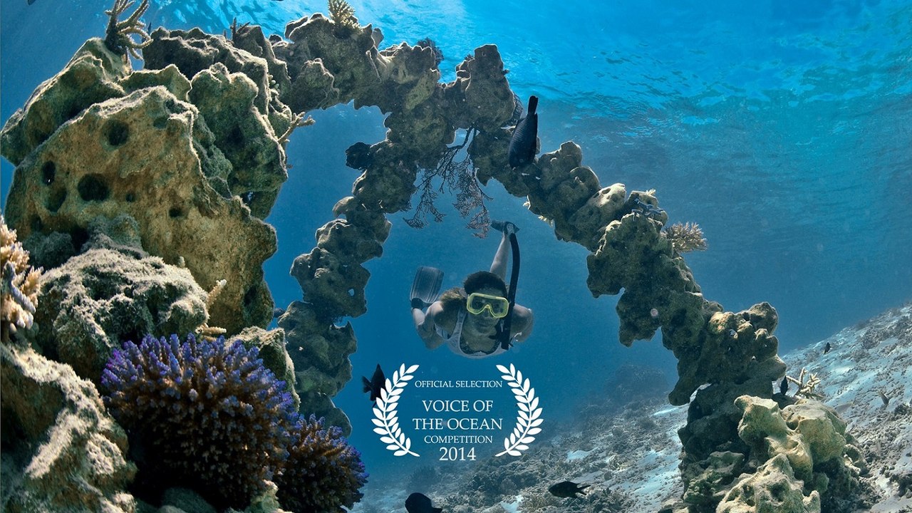 Snorkeling diving park