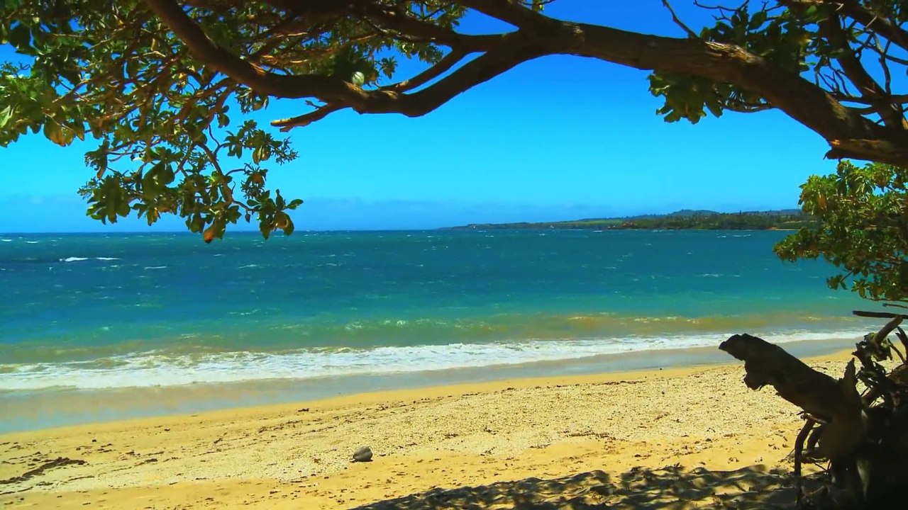 Fur Elise - A Letter To Elise - Relaxing Beach Waves - Piano HD 1080p