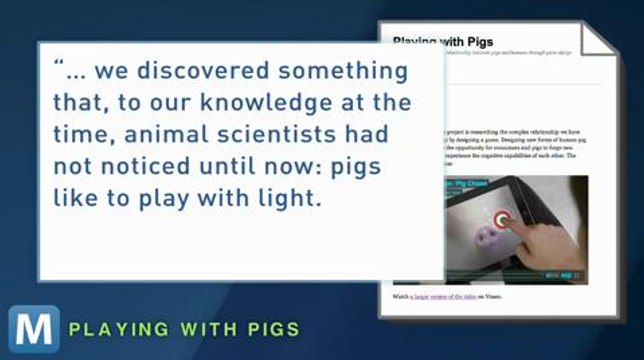 iPad App Will Let You Play with Real Pigs, Without the Mess