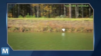 Google Recognized for Safe and Green Practices