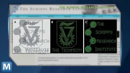 Biocomputer Decodes Images from DNA