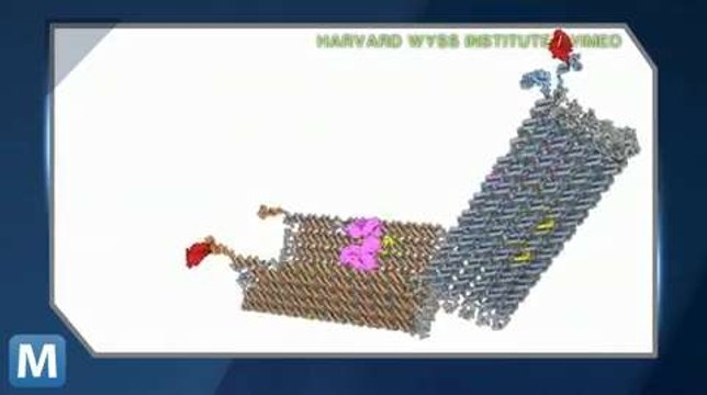 Researchers Create DNA Nanorobots That Kill Cancer Cells