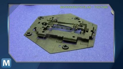 This Robotic Bug Has Wings, Looks Like a Pop-Up Book
