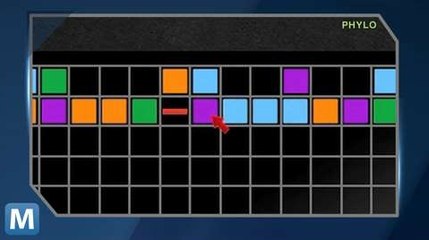 Phylo Gets Gamers to Help Sequence DNA