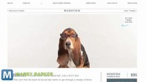 Warby 'Barker' Brings You Designer Specs for Your Dog