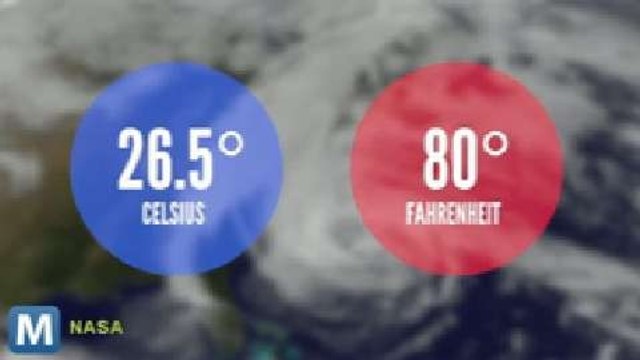 British Scientist Floats Plan to Stop Hurricanes Using Old Car Tires