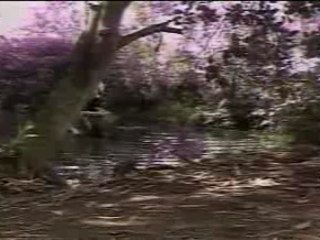 Thuyen Xa Ben Do - Che Linh