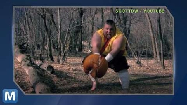 Viral Video Recap: Cats in Boxes and Holiday Overindulgence