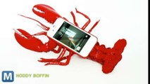 Lobster iPhone Case is Truly a Work of Art