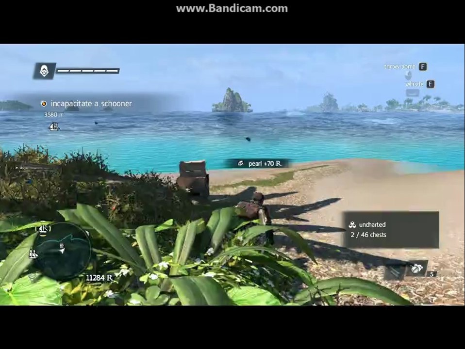 Assassin's Creed: IV Black Flag Game play