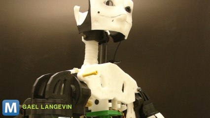 Print Your Own 3D Robot from Home