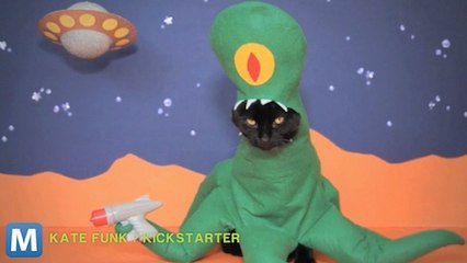 Themed Cat Costume Calendar Prepares for 2014