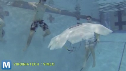Giant Robotic Jellyfish Could Efficiently Map Seafloors, Scare Swimmers