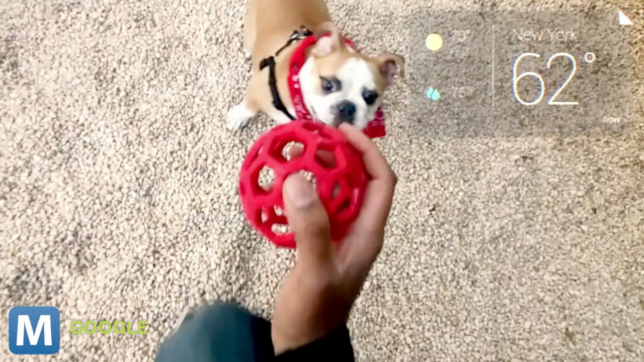 Google Glass Officially Announced and Other News You Need to Know