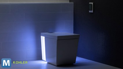 This Toilet Earns the Term ‘Throne’