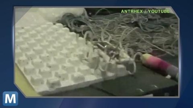 Six-Legged RHex Shows off new Jumping and Climbing Tricks