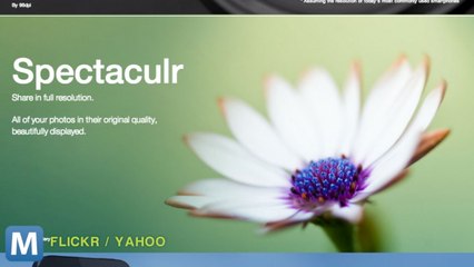 Flickr Gets Terabyte-sized Update and Other News You Need to Know