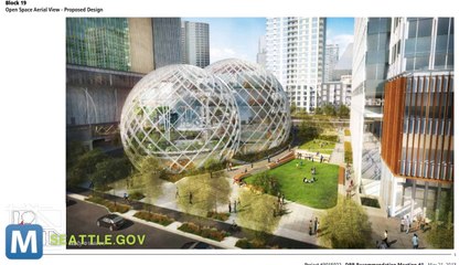 Amazon.com Planning a Office Terrarium