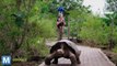 Google Street View Heads to the Galapagos