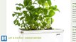 Gardening Gadgets for Green and not-so-Green Thumbs