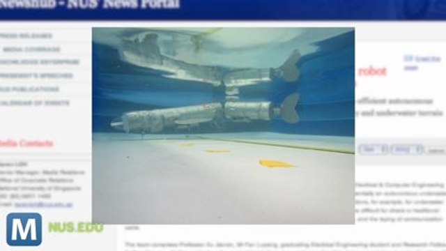 Singapore’s RoboCarp Mimics Fish, Will Rule the Oceans