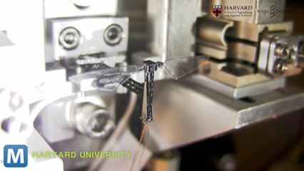Harvard Scientists Develop World’s Smallest Flying Robot