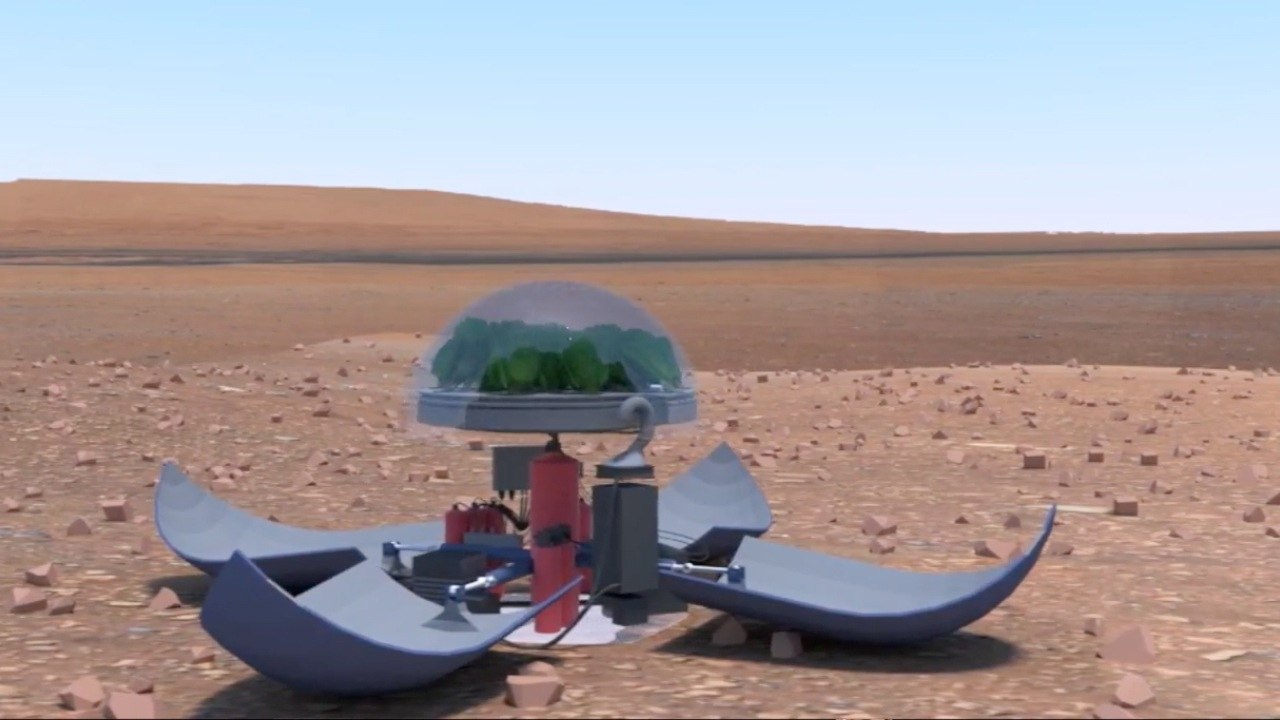 Greek Students Help NASA Grow Green Veggies on The Red Planet