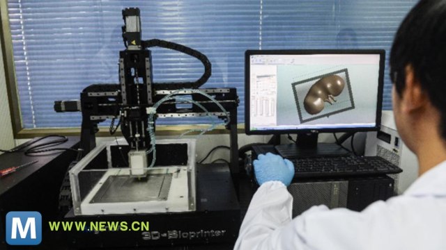 Researchers Use Real Tissue to 3D Print Human Ear